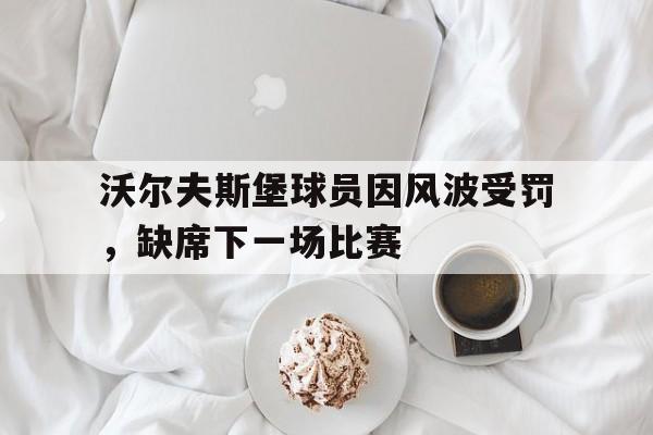 沃尔夫斯堡球员因风波受罚,缺席下一场比赛的简单介绍