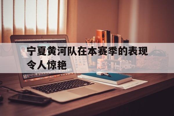 宁夏黄河队在本赛季的表现令人惊艳的简单介绍